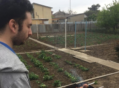 Анапчане обсуждают, портят ли Анапу уличные шашлычные