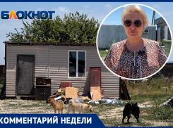 «Это человеческая обида»: в приюте «Добрый мир» показали содержание собак