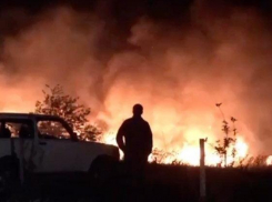 В Витязево под Анапой снова подожгли плавни