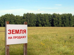 Многодетной семье в  Анапе отказали  в земельном участке