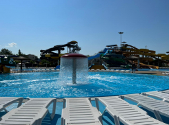 Все отравившиеся в аквапарке Анапы выписаны из больницы