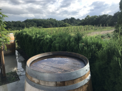 Сегодня в Анапе прохладно и облачно