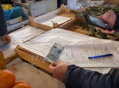 В праздники IT-мошенники применяют, в том числе и в Анапе, новые способы обмана