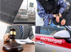 Иск на 333 миллиона и стрельба на дороге – чем запомнилась анапчанам минувшая неделя