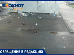 «Контейнеры освободили и осталось много мусора» – анапчанка о работе «Экотехпрома»