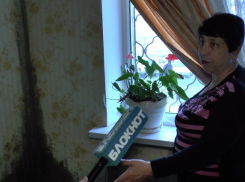 Жители дома на ул. Ленина, 163, в Анапе страдают от холода и плесени в квартирах 