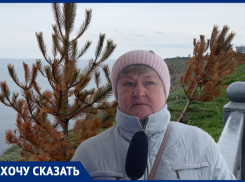«Кто будет в ответе за погибшие деревья»: анапчанка просит спасти сосны на набережной