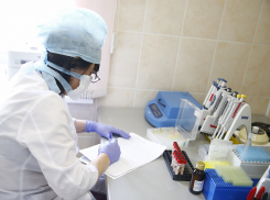 За сутки в крае 86 новых случаев COVID-19, в Анапе +2. Сводка на 16 августа