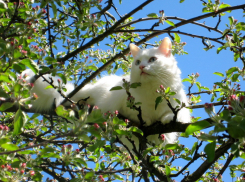 Сегодня, в пятницу, 5 апреля, в Анапе очень тепло