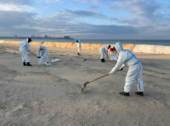 Повторных выбросов на пляжах Анапы не обнаружено