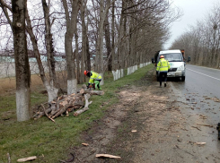 В Анапе ремонтируют уличное освещение и ликвидируют последствия стихии
