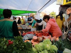В Анапе изучат состояние и развитие конкуренции на товарных рынках