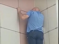 В Анапе разобрали часть стены Городского театра, чтобы вытащить застрявшего котёнка