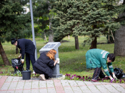 Готовим город к праздникам: анапчан приглашают на субботник