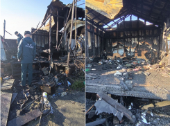 В приюте для животных под Анапой произошел пожар 