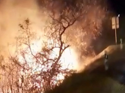 Под Анапой горят плавни. Огонь подбирается к заправке. В Витязево тоже горит лиман