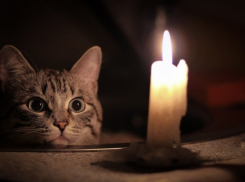 Что делать, если после урагана в Анапе у вас до сих пор нет света