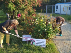 В анапской Ореховой роще навели порядок: теперь в парке чисто