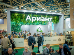 «Судьи не правы» – анапская ГК «Ариант» борется за свои миллиардные активы