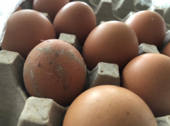 В магазинах Анапы запретят продавать зеленую картошку и яйца с грязной скорлупой