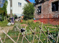 У анапчан начнут изымать заброшенные земельные участки