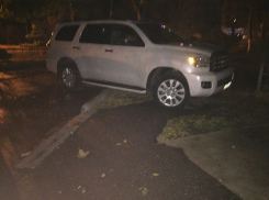 «Секвойя» «выросла» на анапском тротуаре