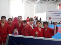 На турнире по самбо анапчане выложились на все сто: фоторепортаж