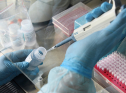 На 26 мая в крае 89 новых случаев коронавируса. В Анапе прибавки нет