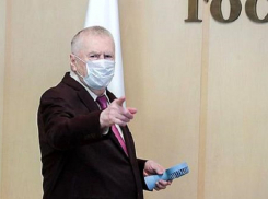 Владимир Жириновский призвал отдыхать в Анапе и других курортах Кубани