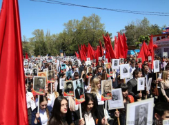 Что нужно для того, чтобы участвовать в шествии «Бессмертного полка» в Анапе? 