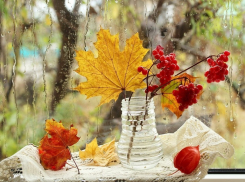 В субботу, 17 ноября, в Анапе до +5 и дождливо