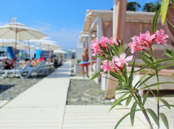 Подогреваемые бассейны и улучшение доступной среды в санатории: Анапа получит субсидии на развитие туризма