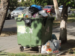 К проблемам с вывозом мусора в Анапе подключилась прокуратура