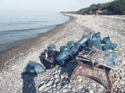Генеральную уборку провели в заповеднике «Утриш» под Анапой