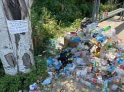 Ева Рейнер возмущена свалкой мусора на проезде Гостевом в Анапе