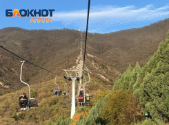 Анапчанкам на заметку: в сафари-парке для женщин к предстоящему празднику сделают бесплатный вход