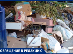 «Опасный рассадник грызунов»: анапчанка о свалке мусора на улице Ленинградской