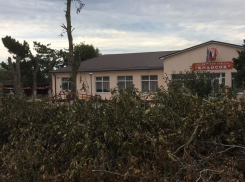 Горы стволов и веток, как после урагана обнаружили жители Джигинки по пути в детсад