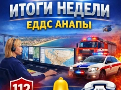 Более 6,6 тысячи вызовов обработала ЕДДС Анапы за неделю