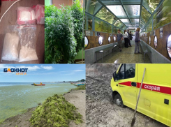 Дело «о сносе «Шатра» и застрявшая «скорая» – чем запомнилась анапчанам уходящая неделя