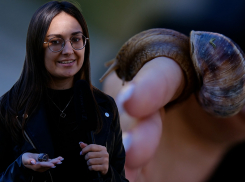 «Доение» улиток и агротуризм: все об эко-ферме в Анапе