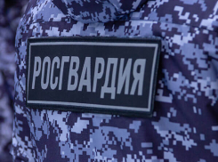 В Анапе в магазине поймали вора: крал продукты и ещё кое - что...