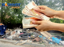 Организация стихийных свалок «влетит в копеечку» предпринимателям Анапы – вводятся штрафы