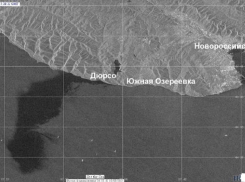 Стали известны истинные масштабы разлива нефти в Черном море между Новороссийском и Анапой 