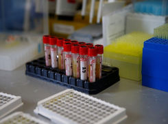 Опять рост: в Анапе плюс 5 заболевших коронавирусом. Сводка за 4 ноября