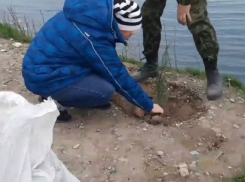 Общественники облагораживают лестницу «300 ступеней» в Анапе