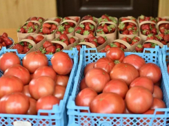 В магазинах Анапы появятся «фермерские островки»