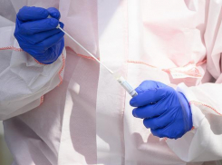 Выявлено 84 новых случая коронавируса, в Анапе +6. Сводка на 20 августа