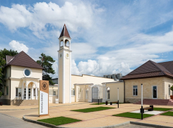 Из анапского винограда будут делать вино под новым брендом