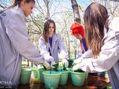 В Детском центре под Анапой отменили четвёртую смену